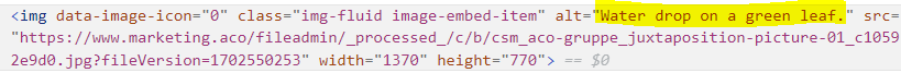 Aco Alt Text Label Html