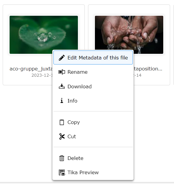 Aco Typo3 Metadata